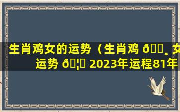 生肖鸡女的运势（生肖鸡 🕸 女运势 🦁 2023年运程81年）